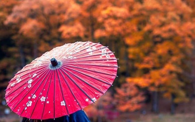 best japanese umbrellas